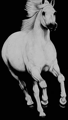 Joseph Piccillo, E 190, 2006
Charcoal on paper, 71 x 42 inches
PICC0006
Sold