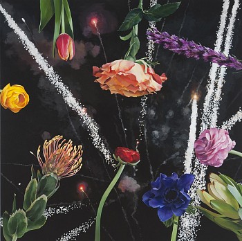 Work:&nbsp;Ben Schonzeit Fireworks