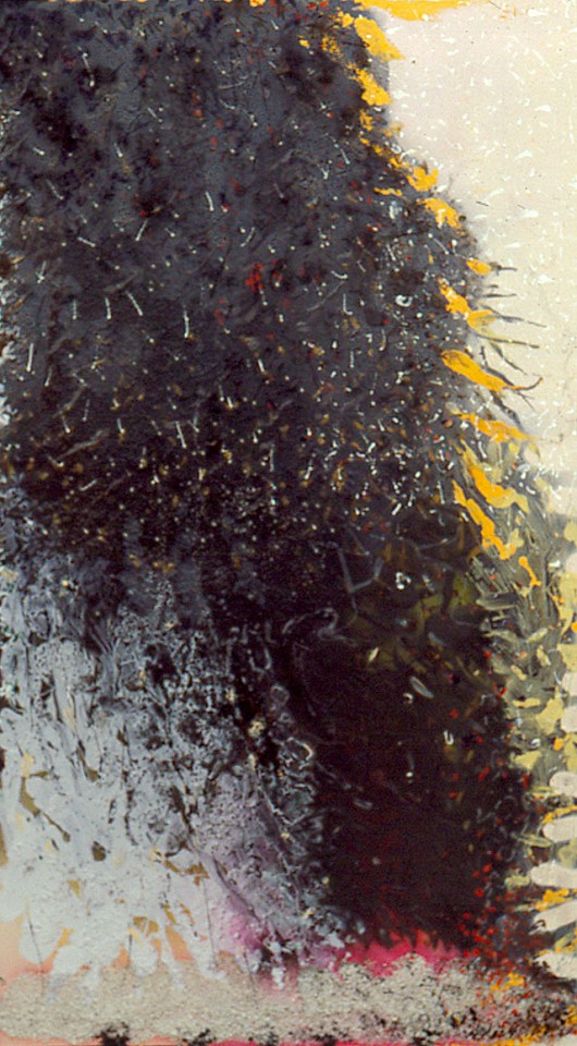 Stanley  Boxer (Estate), Aplaitedsnonsglower, 1993
Mixed media on canvas, 70 x 40 in.
BOXE0067