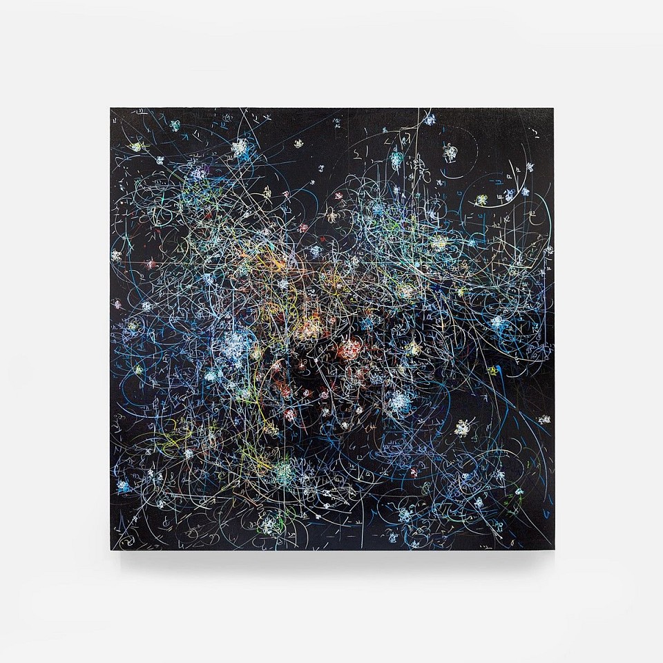 Kysa Johnson, Blow Up 304 - subatomic decay patterns and the Dark Clouds of NGC 2024, 2016
ink and high gloss on board, 24 x 24 in.
JOHK00002
$6,250