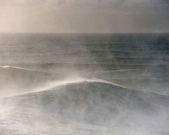 Alessandro Puccinelli - Z Mare 451