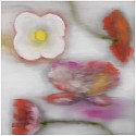 Ross Bleckner, Z Light Flower (C.T.); edition of 50
2019, Archival pigment print on Innova Etching Cotton Rag 315 gsm fine art paper