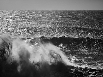 Alessandro Puccinelli - Z Mare 469