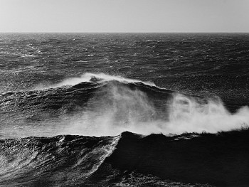 Alessandro Puccinelli - Z Mare 508