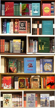 Max-Steven Grossman -&nbsp;Z Banned Books V