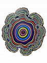 Holton Rower, 1 AP 22 A
2024, Mixed Media on Wood