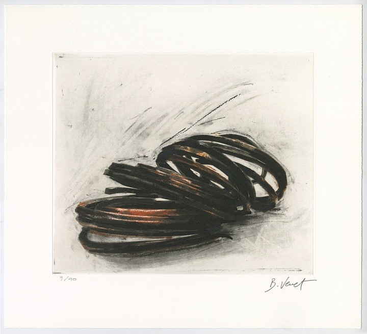 Bernar Venet, Effrondrement Lignes Indéterminées (Print 5, from the suite of 6), edition of 40, 2022
Etching, 19 x 21 in.
VENE00016
$4,500