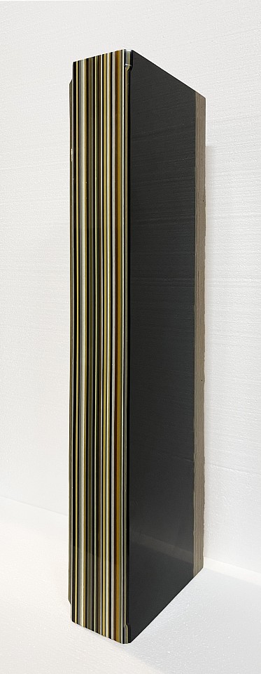 Harald Schmitz Schmelzer, Farblager Schwarz Weiss Grau Gelb, 2009
Cast resin on plywood
SCHM0063